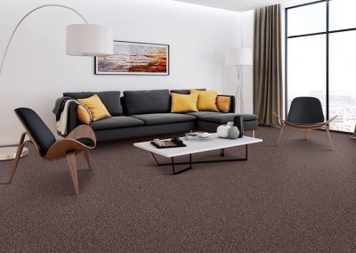 Carpet Flooring services