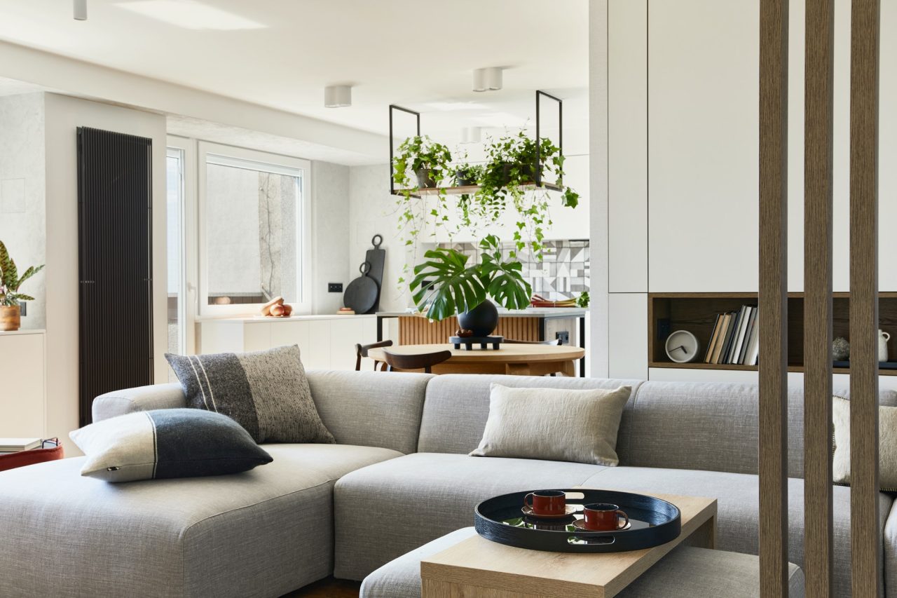 stylish living room interior design